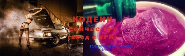 твердый Няндома