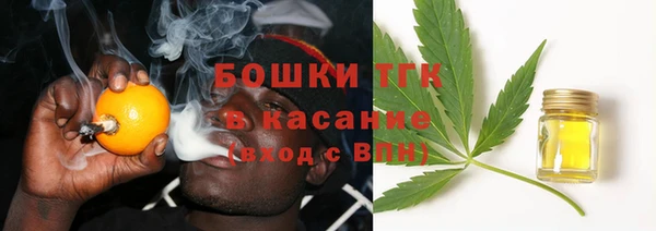 твердый Няндома