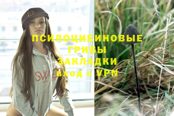 мет Нягань