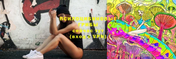 таблы Осинники