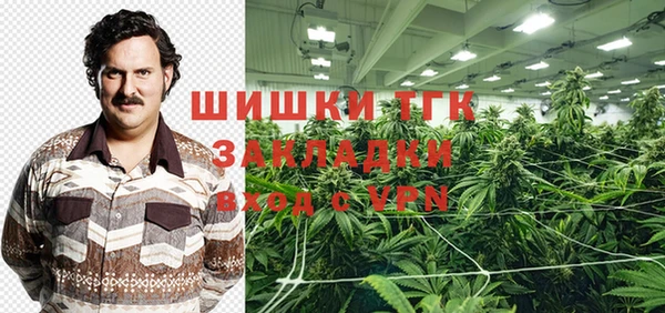 твердый Няндома