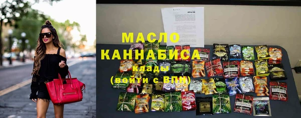 твердый Няндома
